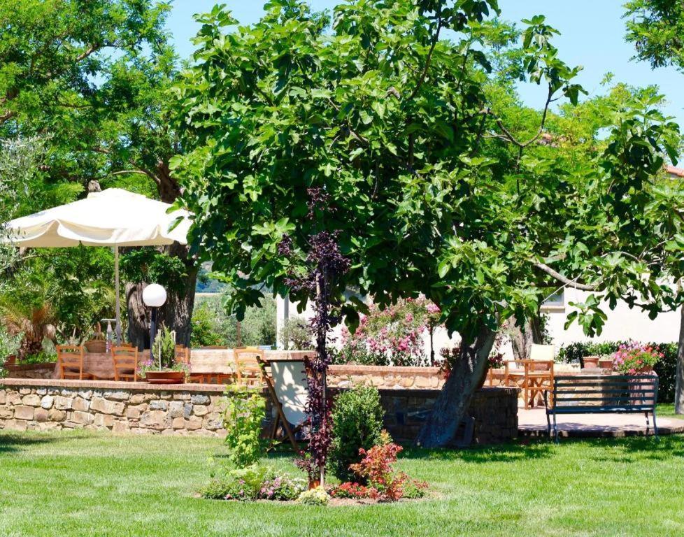 Agriturismo Vecchio Imposto Massa Marittima Luaran gambar